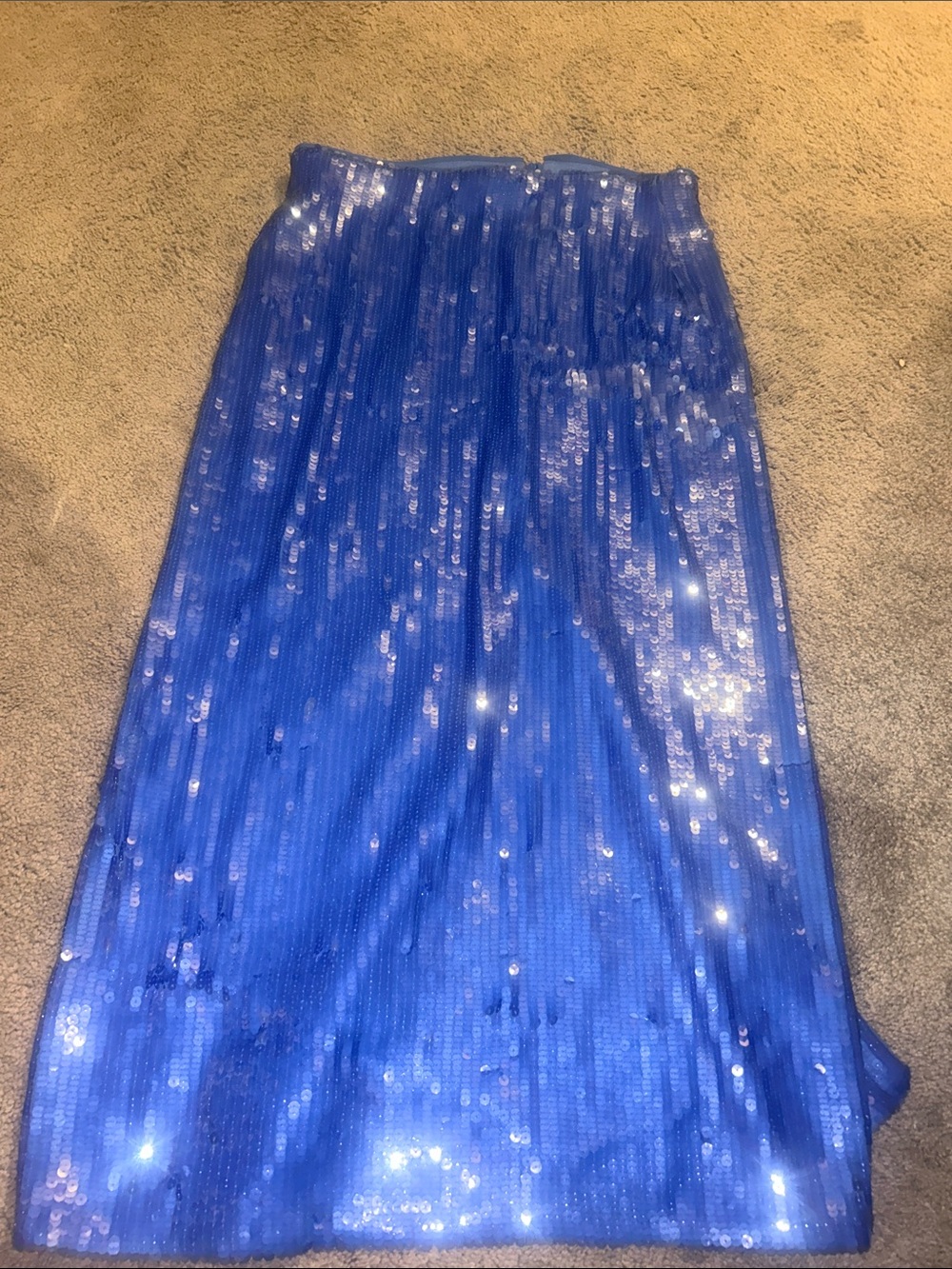 Zara Royal Blue Sequin Maxi Skirt